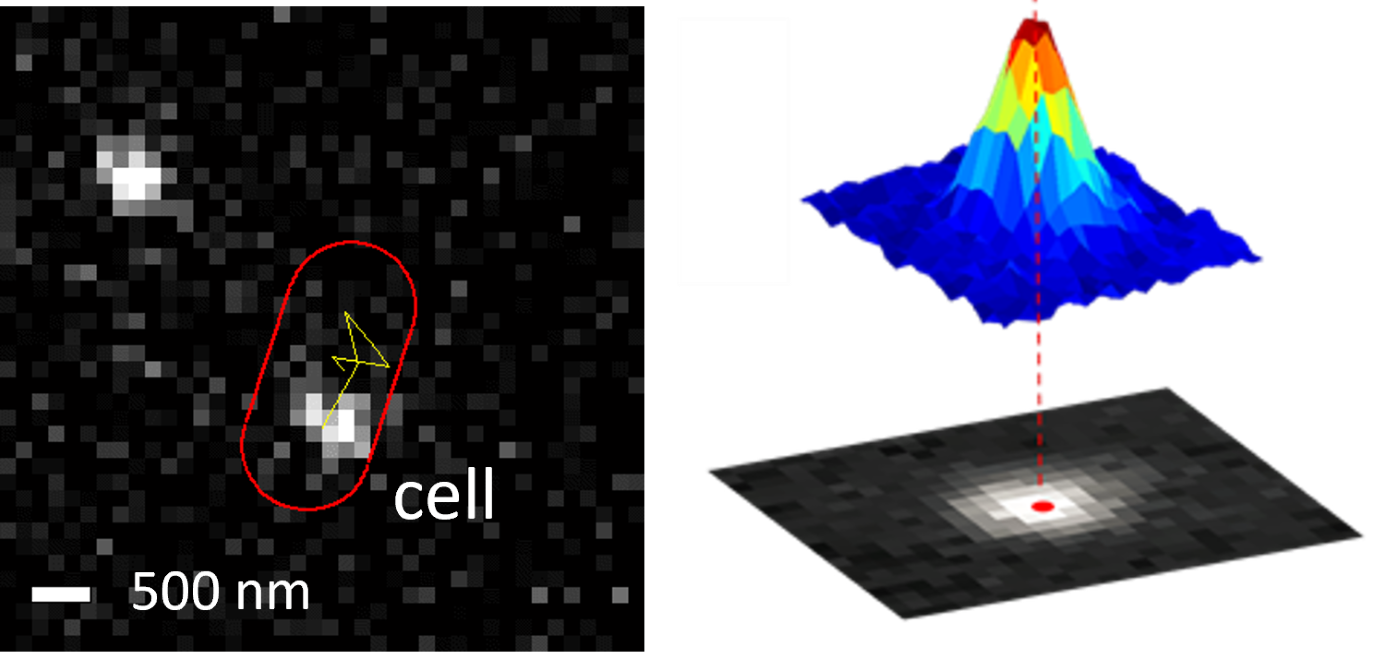 Slide 3