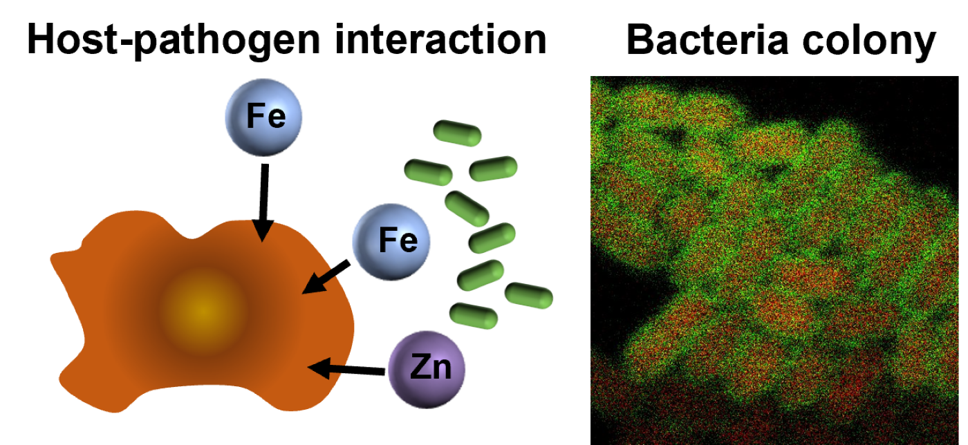 Slide 4