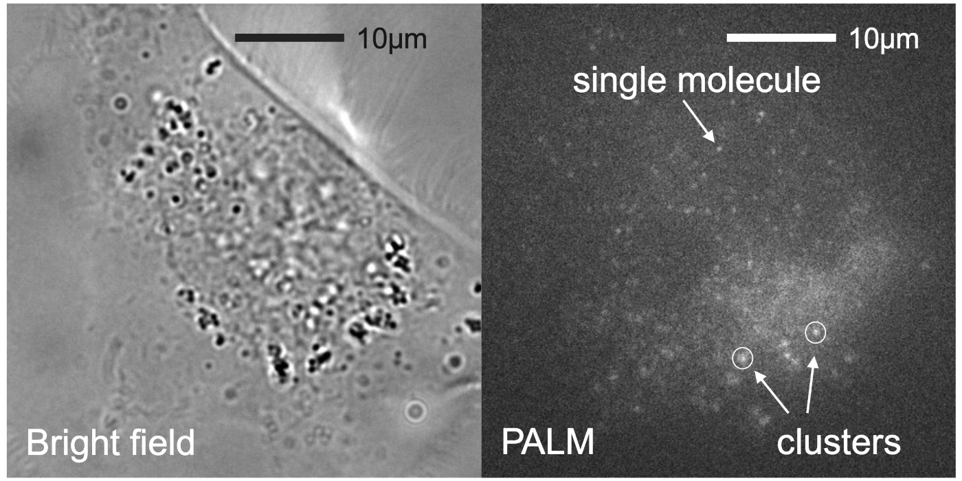 Slide 5